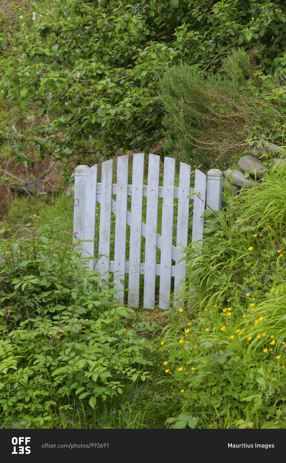 Garden door, Clovelly, Devon, South West England, England,\
United Kingdom, Europe stock photo - OFFSET