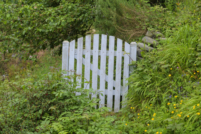 Garden door, Clovelly, Devon, South West England, England, United Kingdom, Europe