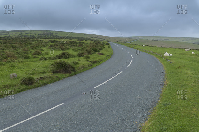 Country road in landscape, Dartmoor, Devon, South West England, England, United Kingdom, Europe