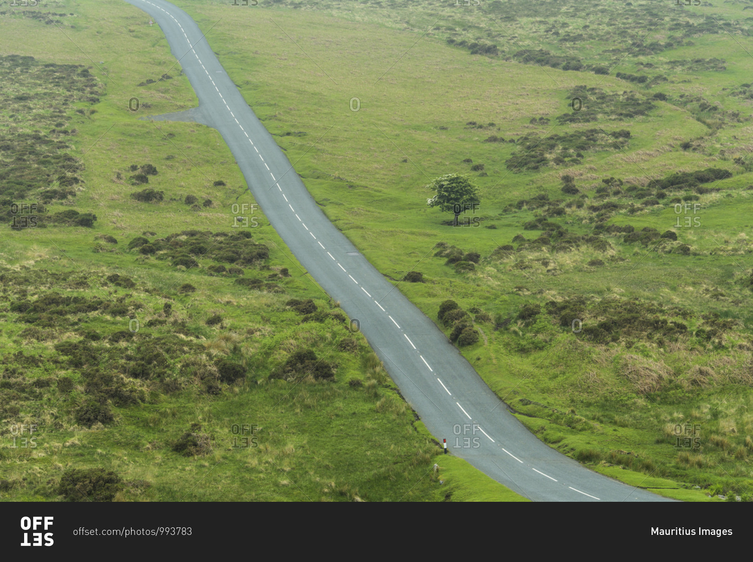 Country road in landscape, Dartmoor, Devon, South West England, England, United Kingdom, Europe