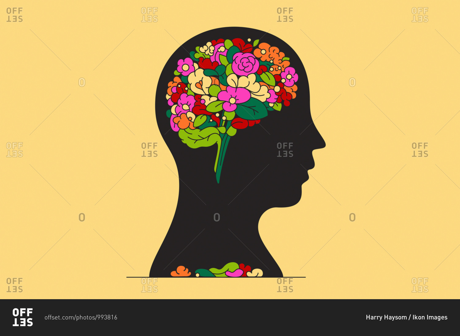 Bunch of flowers inside of man\'s head