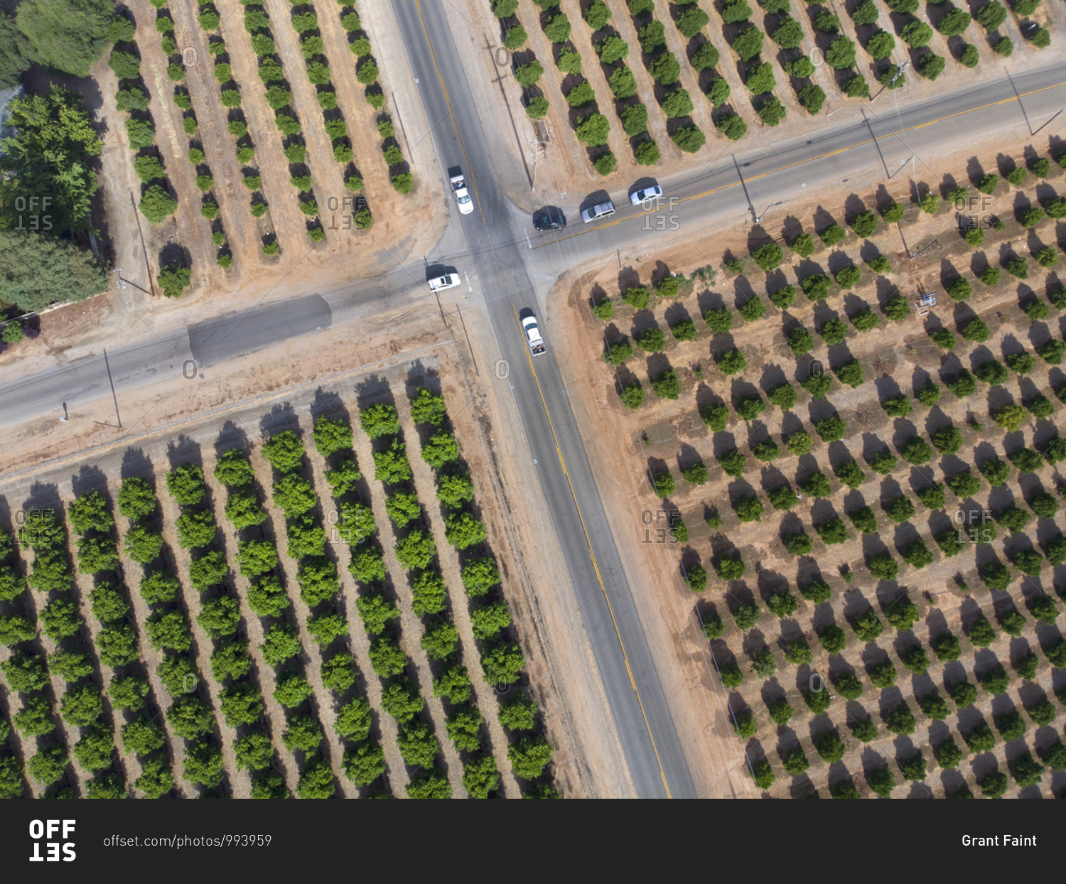 Traffic intersection near Yuba City surrounded by fruit tree farms in California, USA