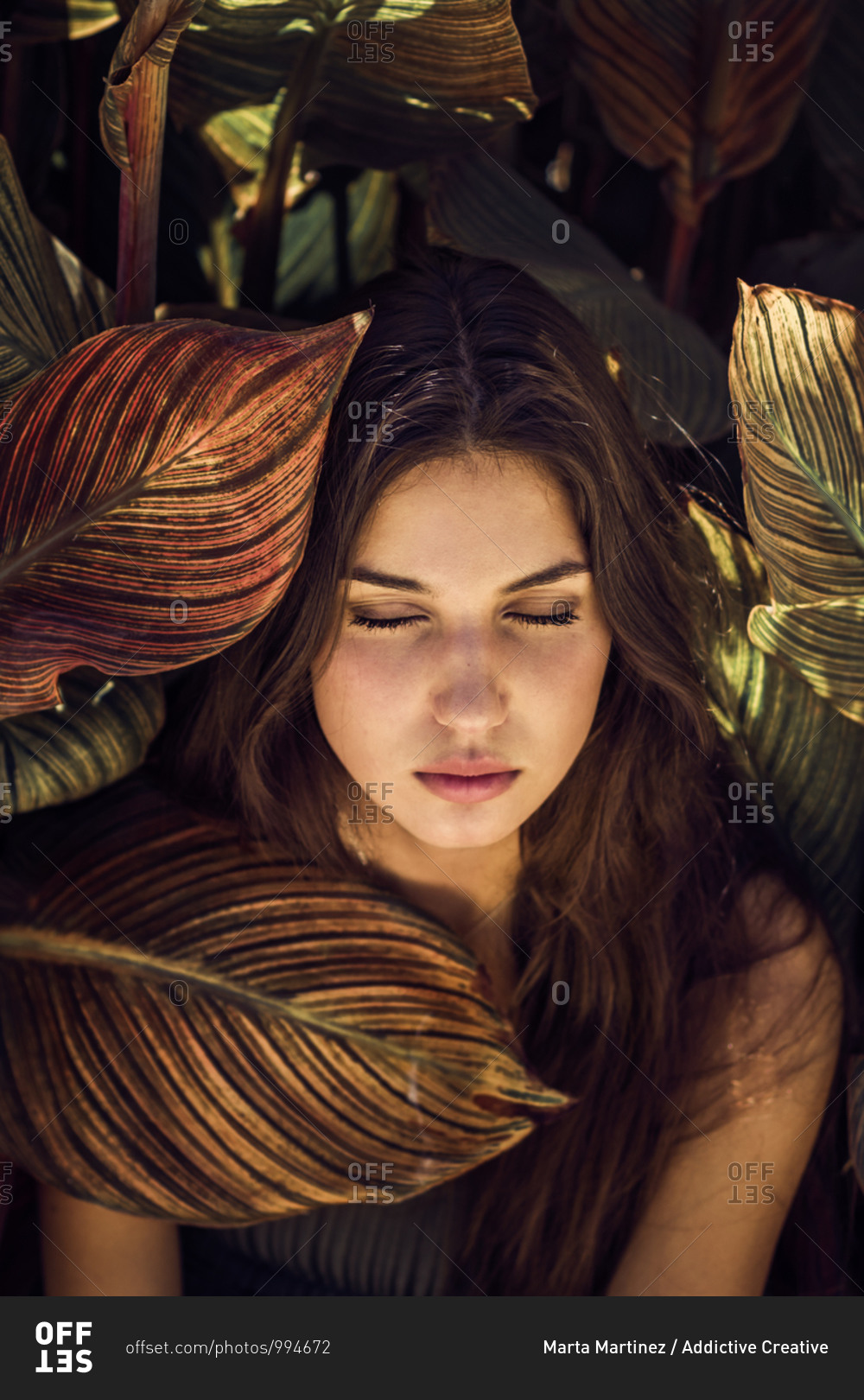 Tender female in summer wear surrounded by colorful leaves and flowers of canna plant enjoying sunny day with closed eyes