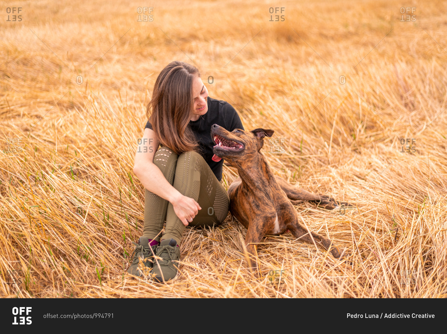 Female and dog with big ears looking at each other while resting under colorful sky at sundown