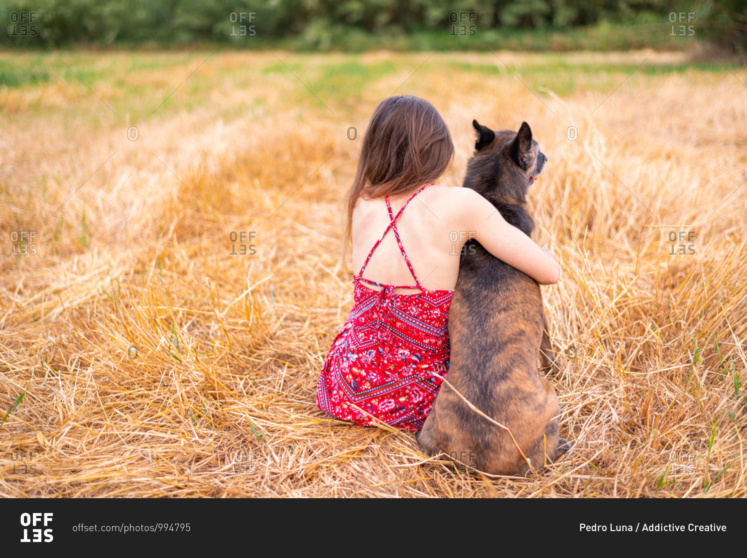 Female and dog with big ears looking at each other while resting under colorful sky at sundown