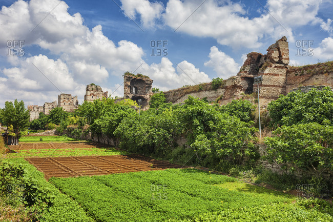 Turkey- Istanbul- Vegetable gardens in front of Walls of Constantinople