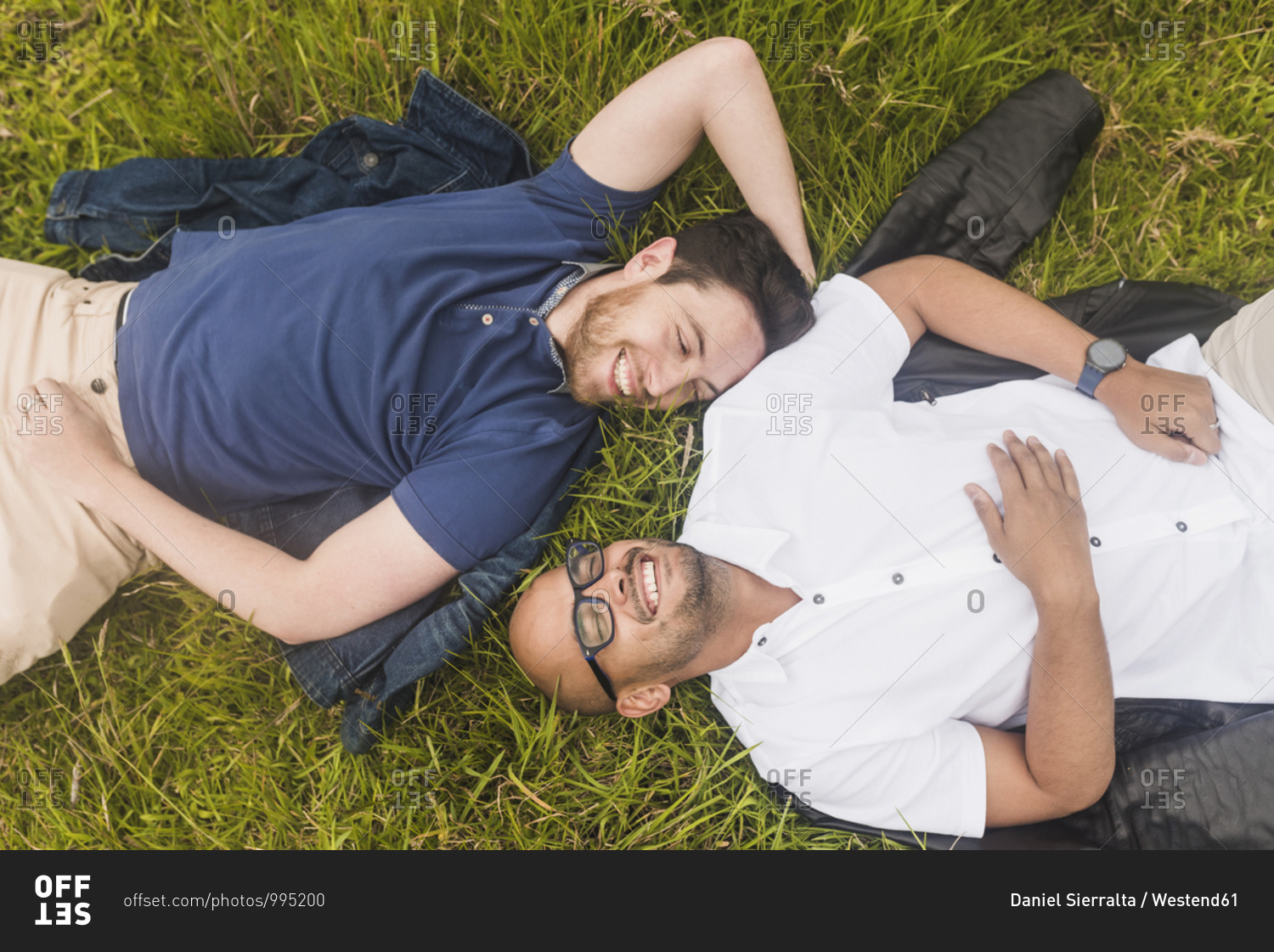 Cheerful gay couple relaxing on grassy land in park