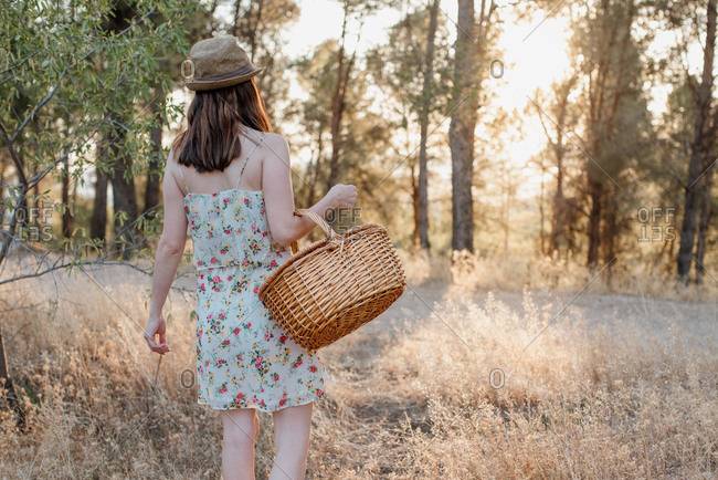 Back view of unrecognizable woman in sundress and hat with wicker basket over arm standing on picnic blanket in back lit in summer park and looking away
