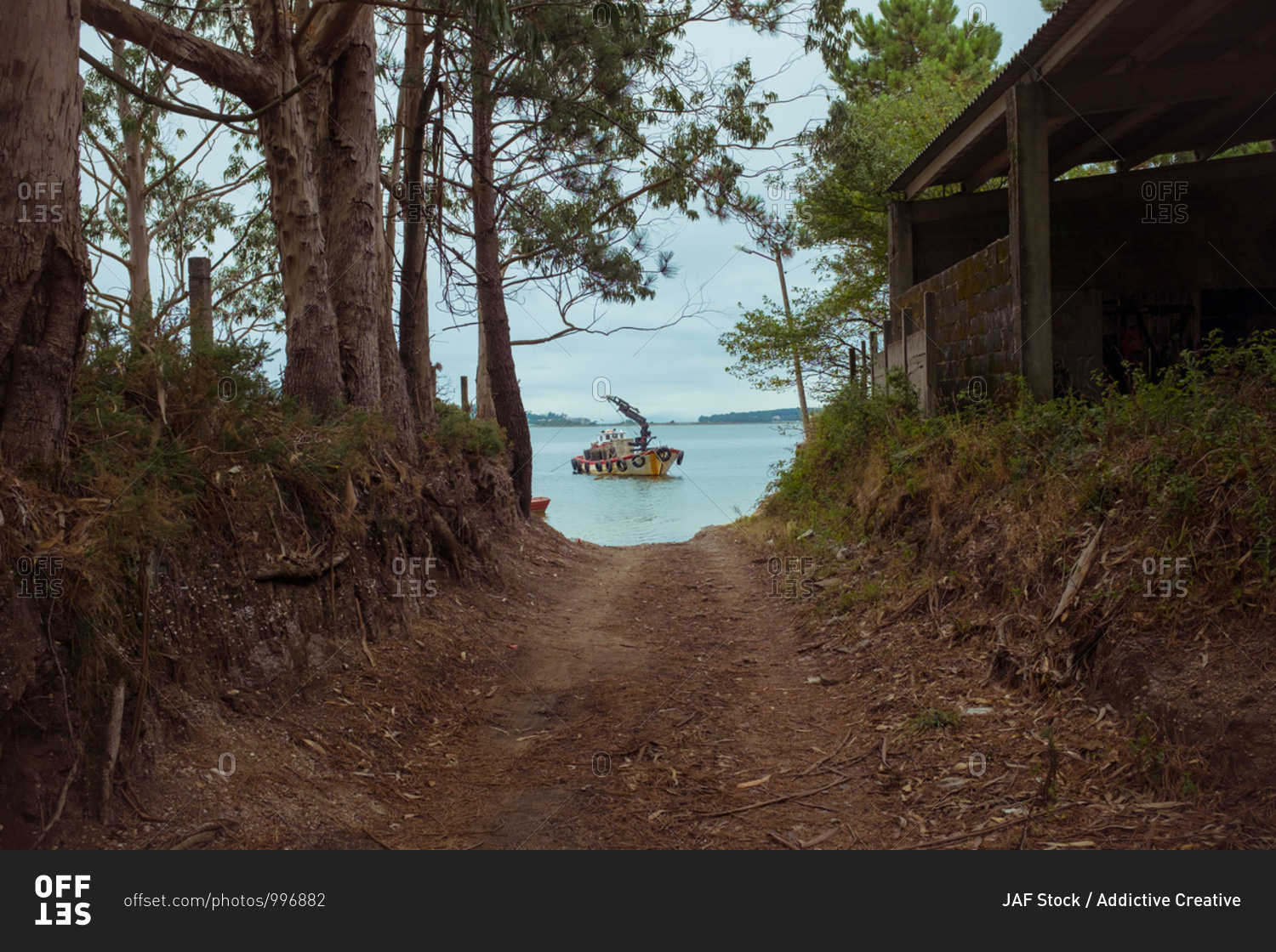 Dry walkway passing between trees with thick trunks and wooden house with motorized boat floating on river under serene sky