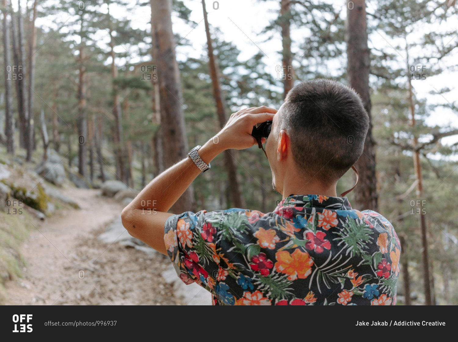 Back view of male tourist in colorful shirt standing on slope of mountain covered with coniferous forest and observing environment with binoculars during hiking in Navacerrada in Spain