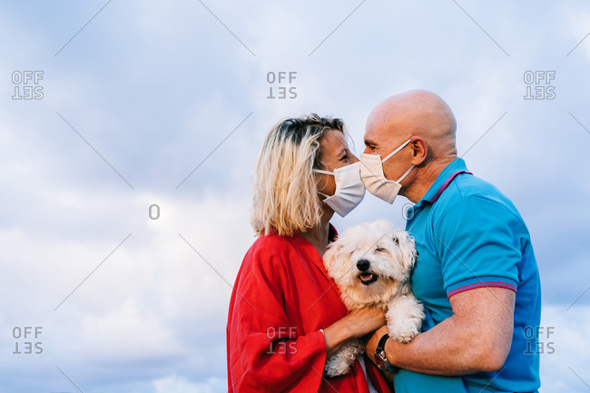 Side view positive adult couple in casual clothes wearing protective respirators and kissing through masks while spending summer evening in countryside with bichon frise pet in hands
