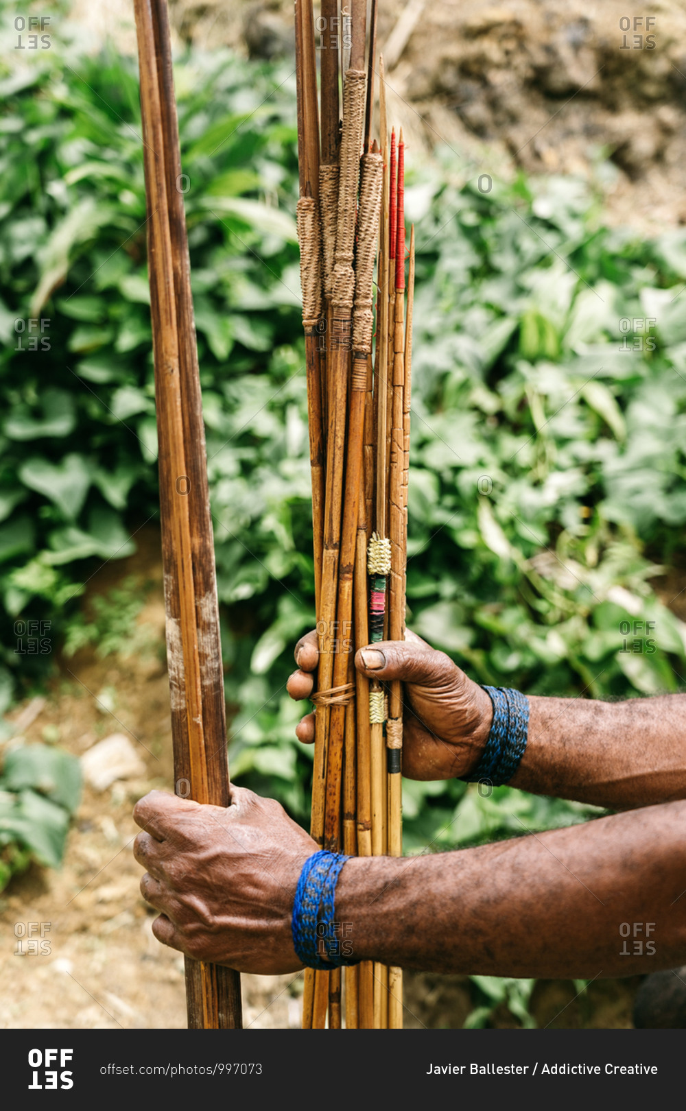 Unrecognizable crop ethnic male from tribe standing with collection of handmade bamboo arrows in green forest