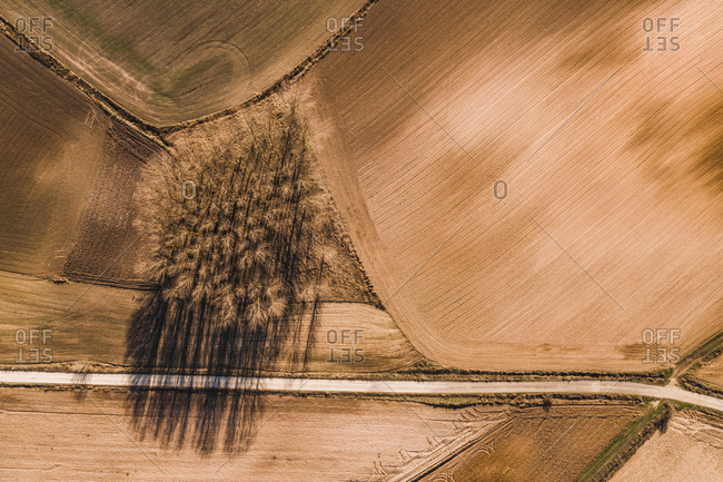 From above aerial view of straight road going through agricultural field in rural area in summer day