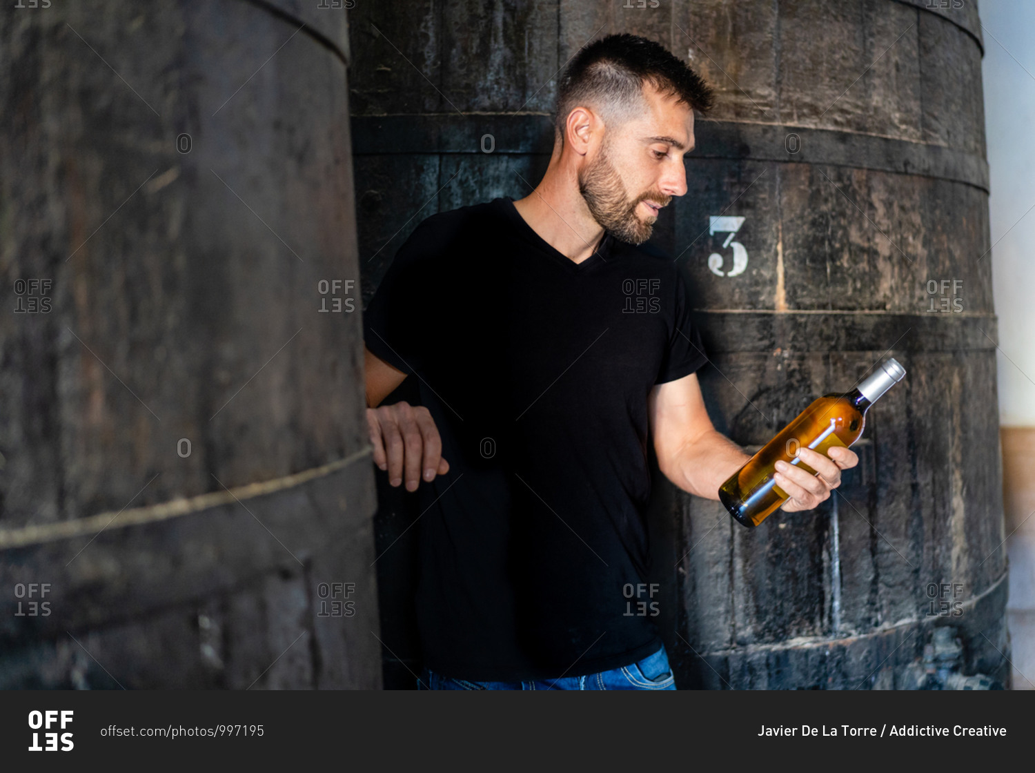 Side view positive male winemaker in casual clothes standing on ladder against big wooden barrel and checking label on white wine bottle