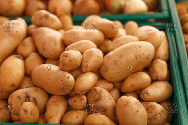 High angle of heap of ripe potatoes placed in plastic container in rustic grocery market