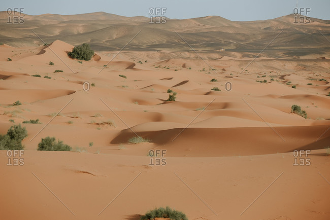 African desert landscape with high sandy dunes and few plants under cloudy sky in morocco