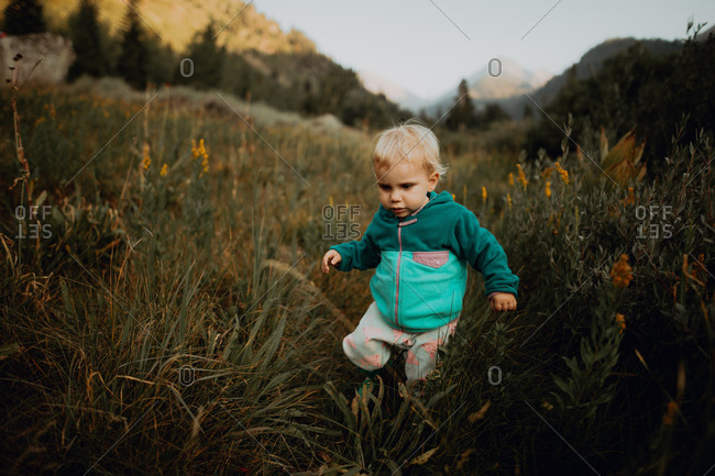 toddle stock photos - OFFSET