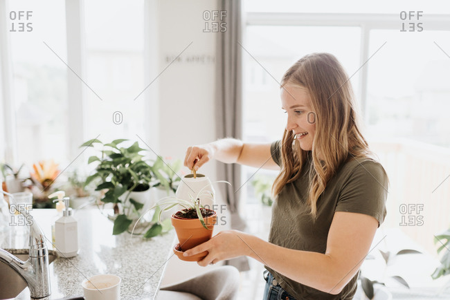 Woman watering house plants at home