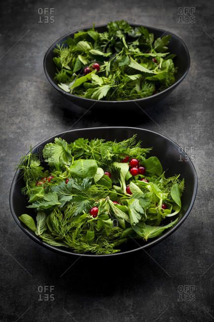 Oriental herb salad (mint- parsley- dill- coriander- lambs lettuce) with currants and pomegranate dressing