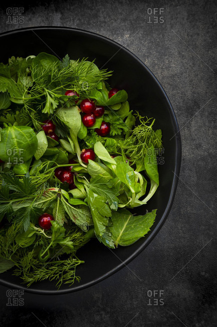 Oriental herb salad (mint- parsley- dill- coriander- lambs lettuce) with currants and pomegranate dressing