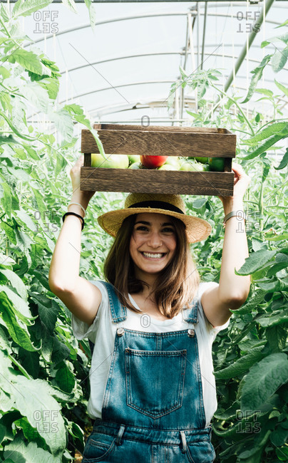 Positive female horticulturist in straw hat and denim overalls carrying wooden box with various tomatoes while standing between lush green tomato trees and looking at camera in hothouse
