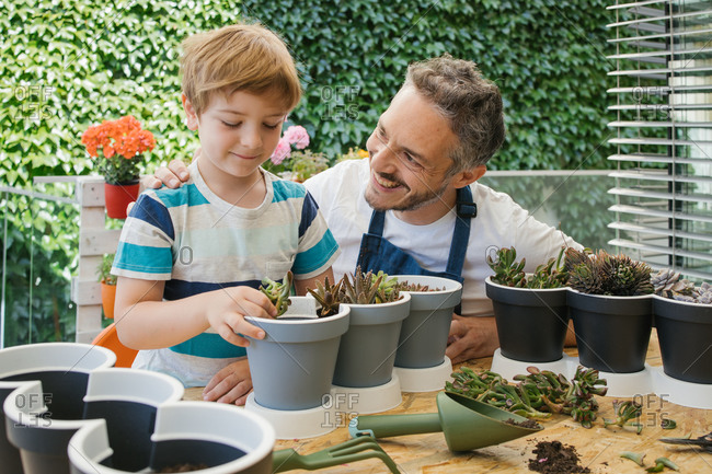 Crop cheerful man in apron and boy using gardening trowel while adding soil into pot with cacti seedlings standing near table behind lush green bushes