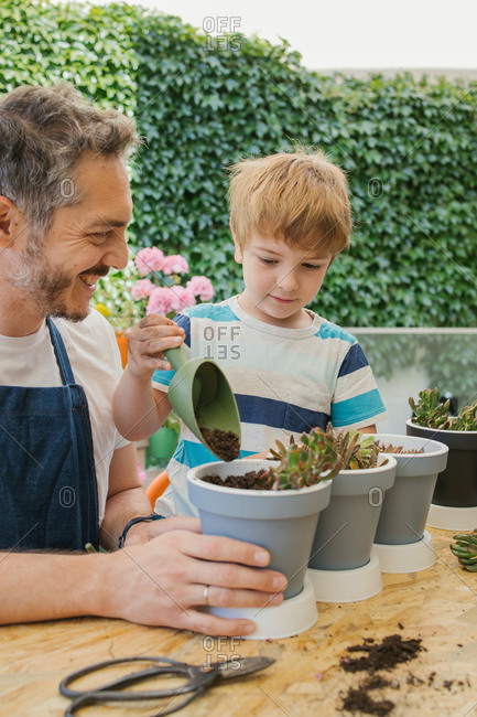 Cheerful man in apron and boy using gardening trowel while watering soil of potted plants cacti seedlings standing near table behind lush green bushes