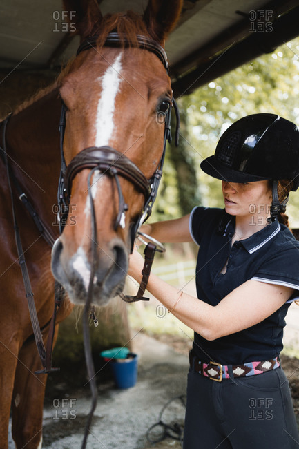 Side view of busy female equestrian in helmet standing in stable and preparing horse for training while putting bridle