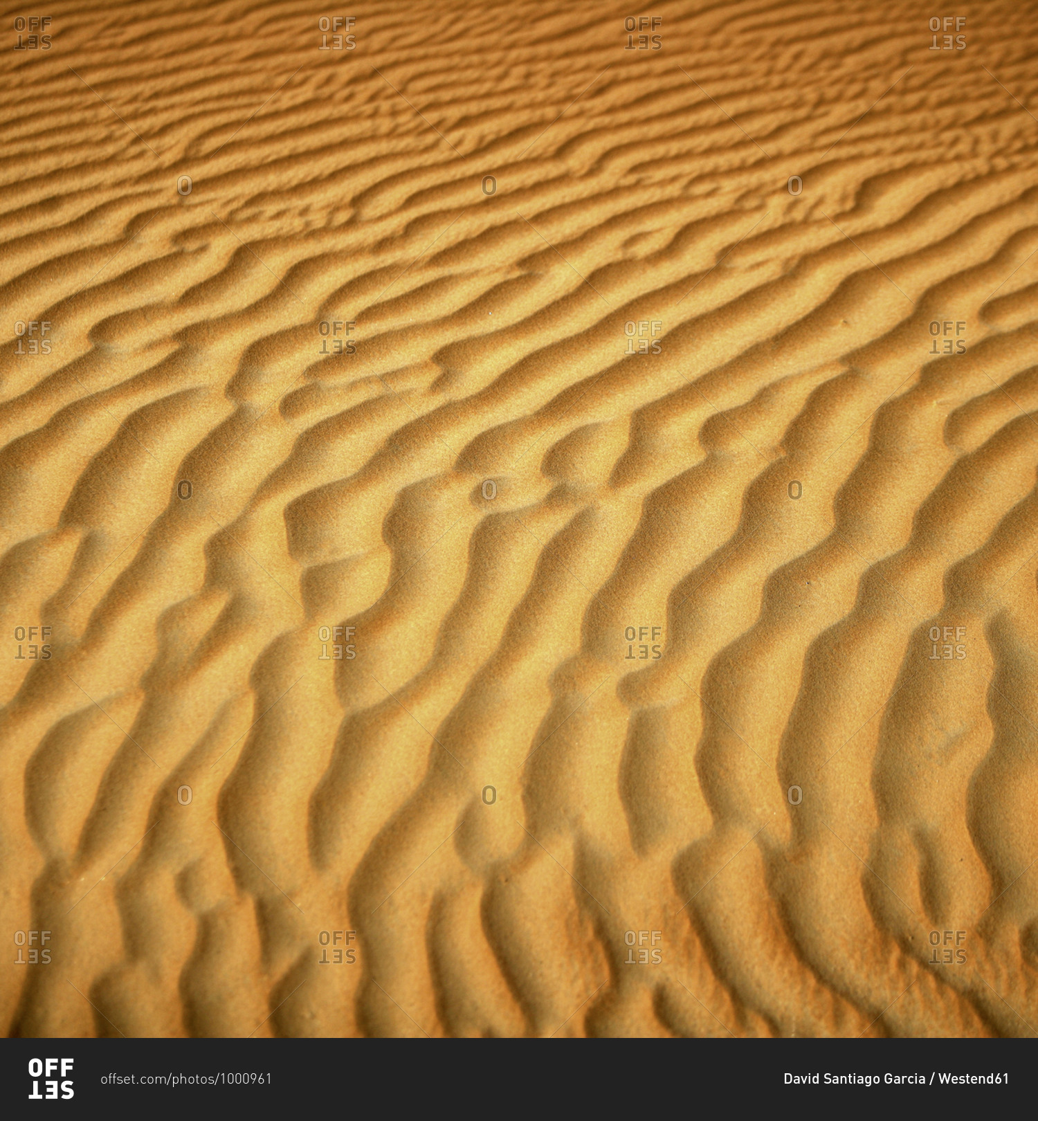 United Arab Emirates- Emirate of Abu Dhabi- Rippled sand at Quarter desert