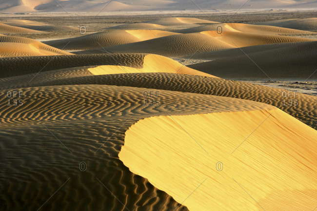 United Arab Emirates- Emirate of Abu Dhabi- Sand dunes at Quarter desert