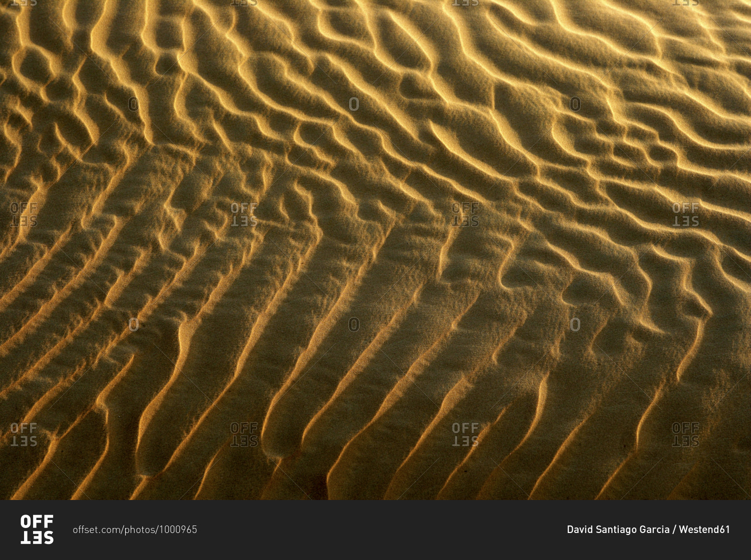 United Arab Emirates- Emirate of Abu Dhabi- Rippled sand at Quarter desert