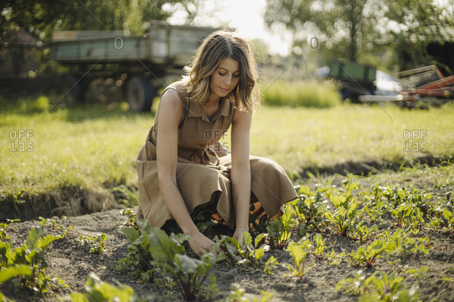 Young woman caring for plants in a vegetable patch