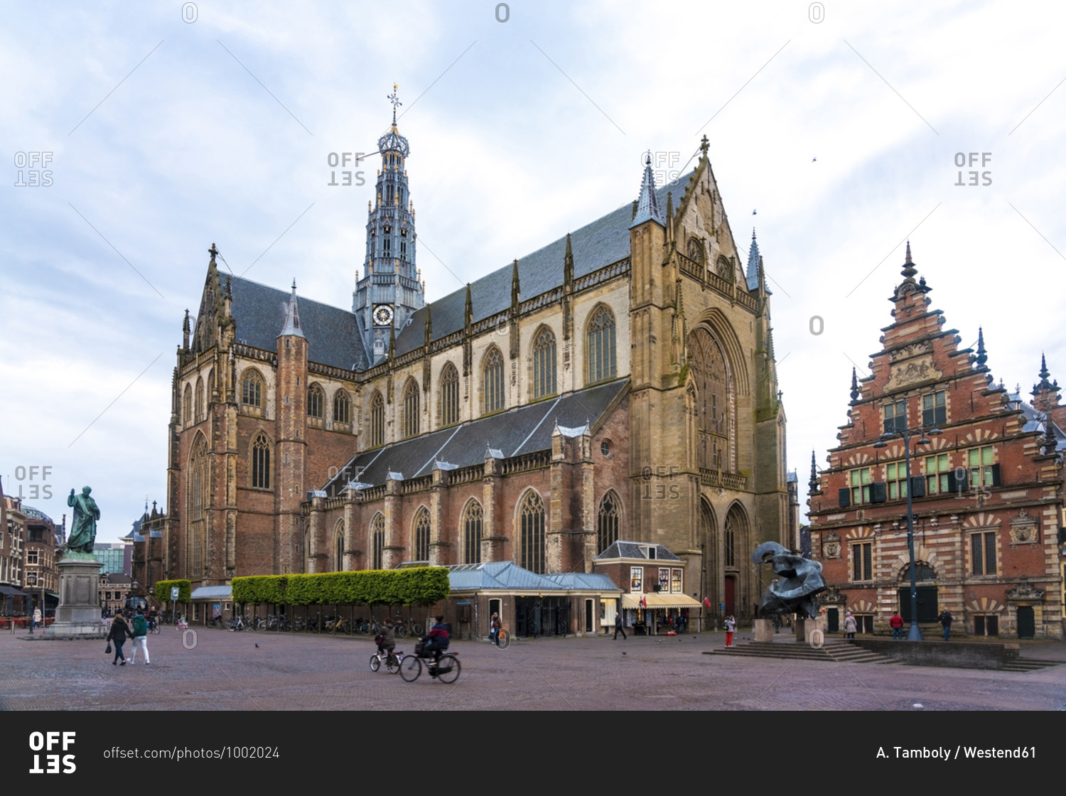 Netherlands- North Holland- Haarlem- Grote Kerk cathedral on Grote Markt square