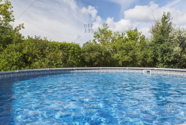 Outdoor pool surrounded by deciduous trees in residential backyard.