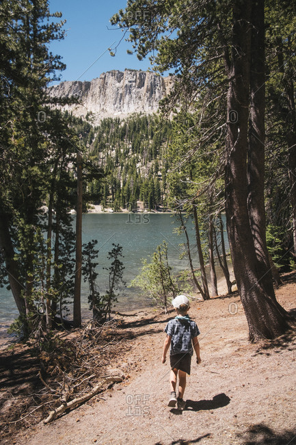 Rear view of boy walking through forest near Lake Mary, Mammoth Lakes, California, USA.