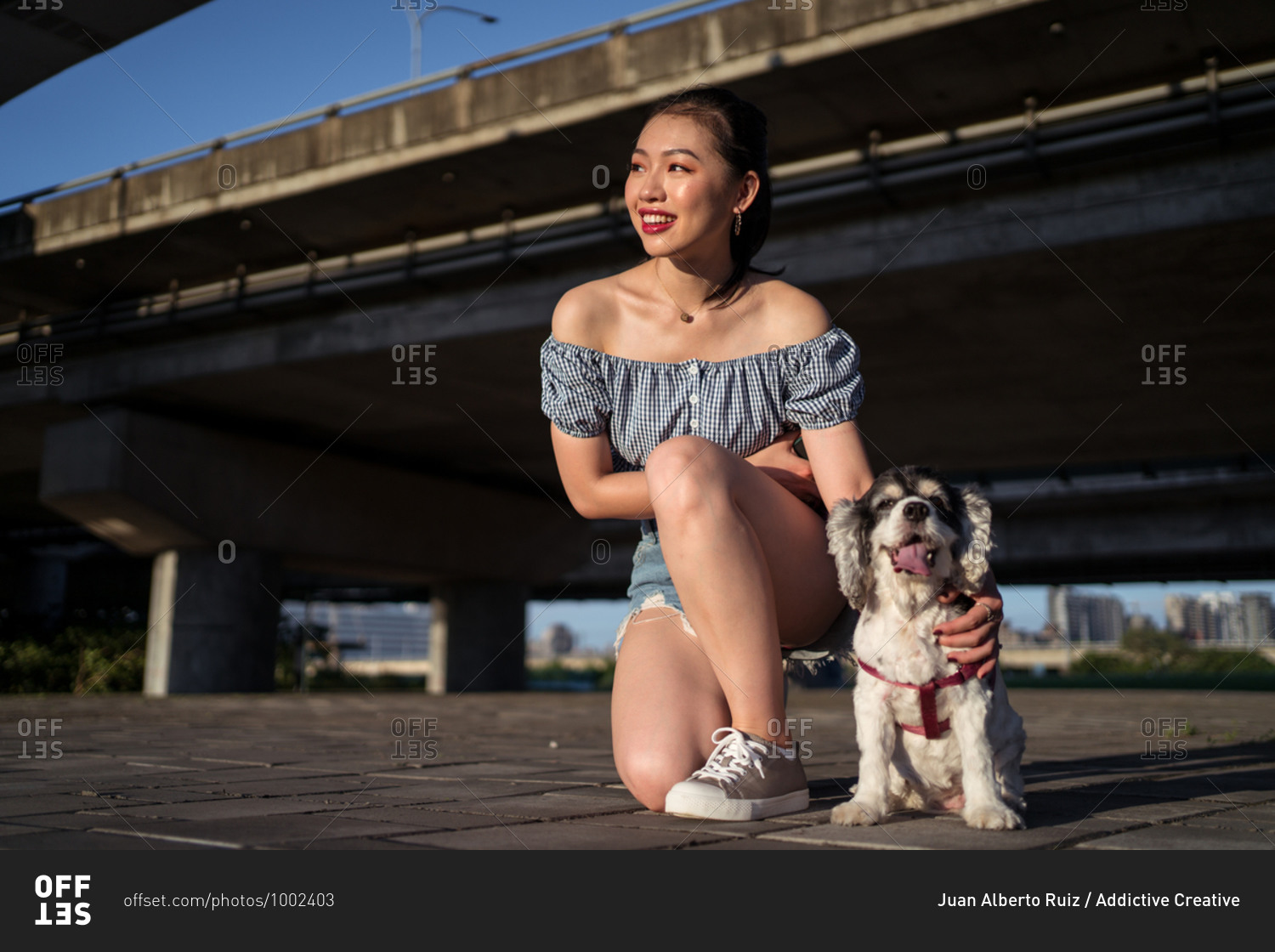 Cheerful young Asian lady in casual wear embracing gently American Cocker Spaniel while squatting on pavement near bridge under blue sky in town and looking away