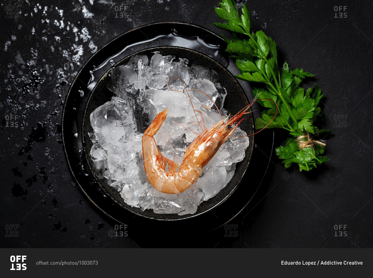 Prawn in bowl with ice and parsley placed on black table in luxury restaurant