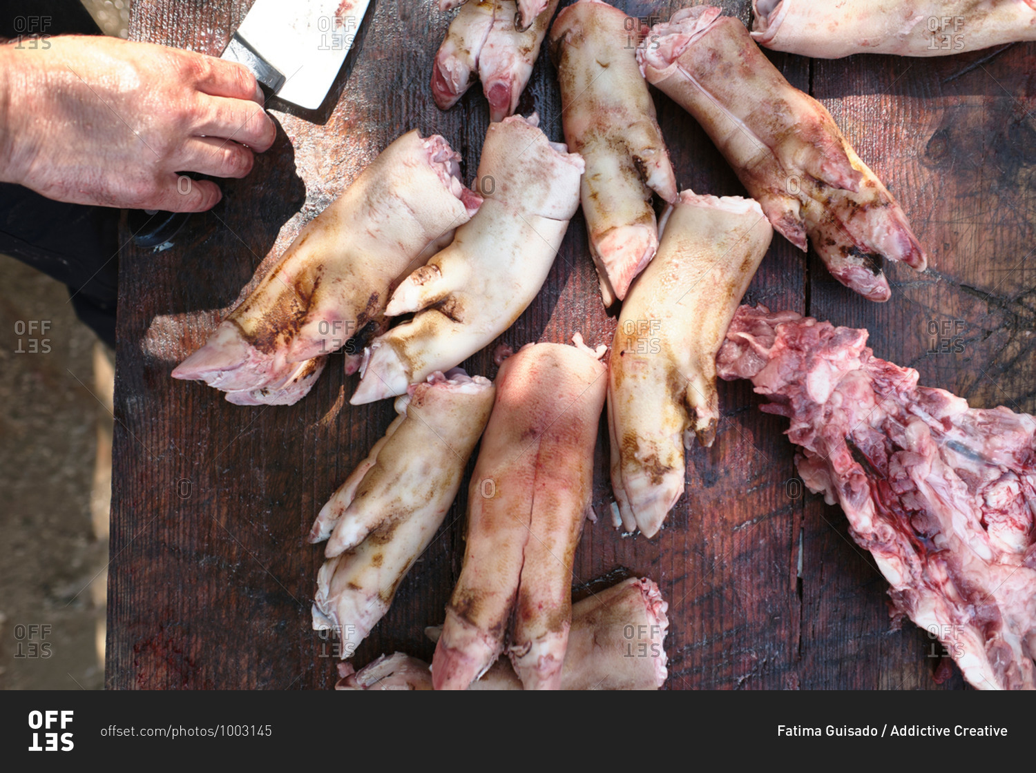 Top view of crop faceless butcher cutting pigs feet with sharp knife during traditional meat production at slaughterhouse