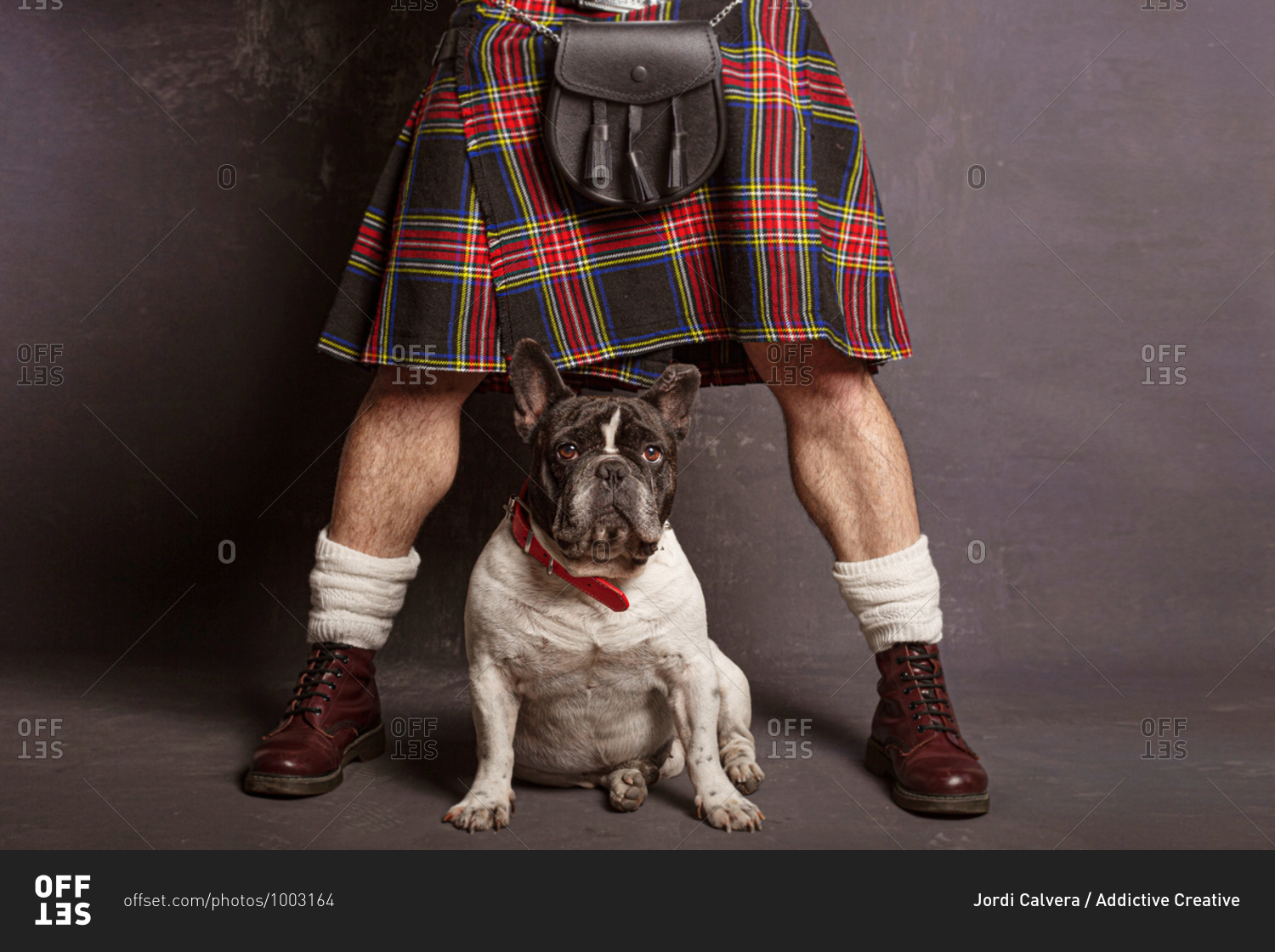 Crop anonymous man in Scottish skirt and leather boots with leather shoulder bag standing with legs apart near cute French Bulldog in red collar