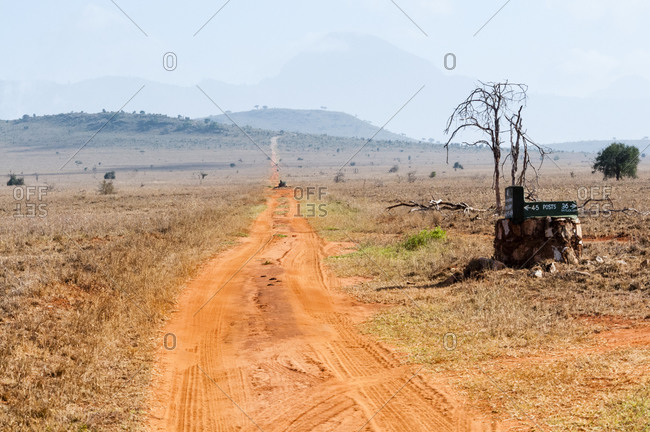 Track in the savannah, Taita Hills Wildlife Sanctuary, Kenya, East Africa, Africa