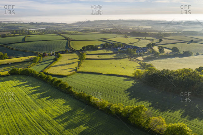 Verdant rolling countryside surrounding Livaton Farm, South Tawton, Devon, England, United Kingdom, Europe