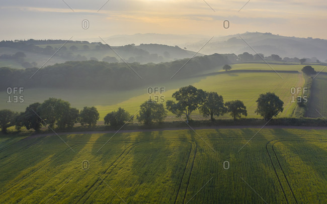 Rolling farmland on a hazy summer morning, Crediton, Devon, England, United Kingdom, Europe