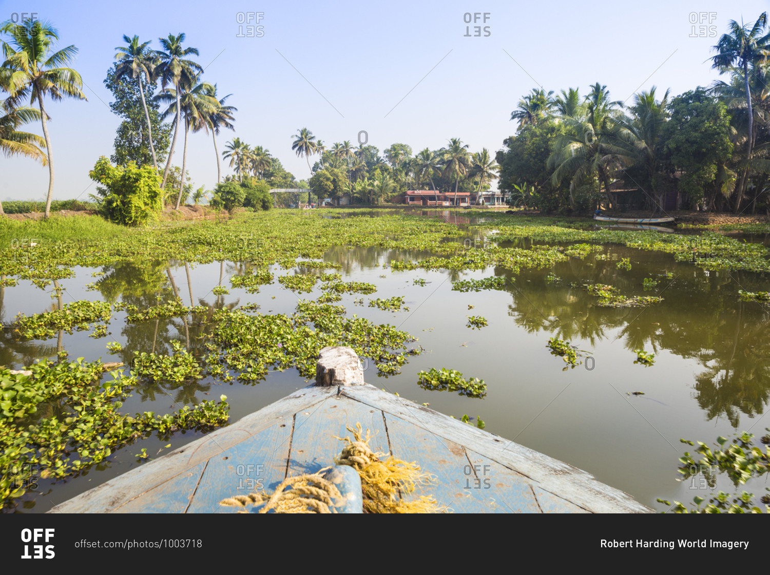 Backwaters, Alappuzha (Alleppey), Kerala, India, Asia
