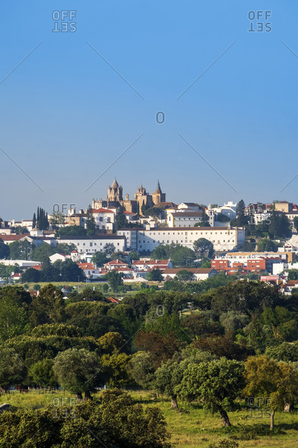 View of the medieval city and capital of the region across cork oak woodland, Evora, Alentejo, Portugal, Europe