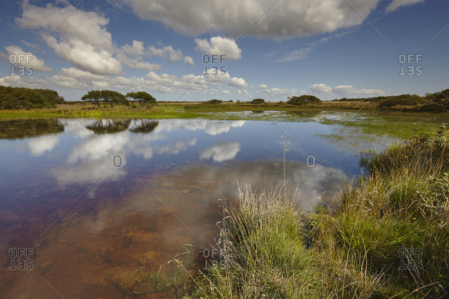 Croft Pascoe Pool, on Goonhilly Down, an important protected area for biodiversity, on the Lizard peninsula, in west Cornwall, England, United Kingdom, Europe