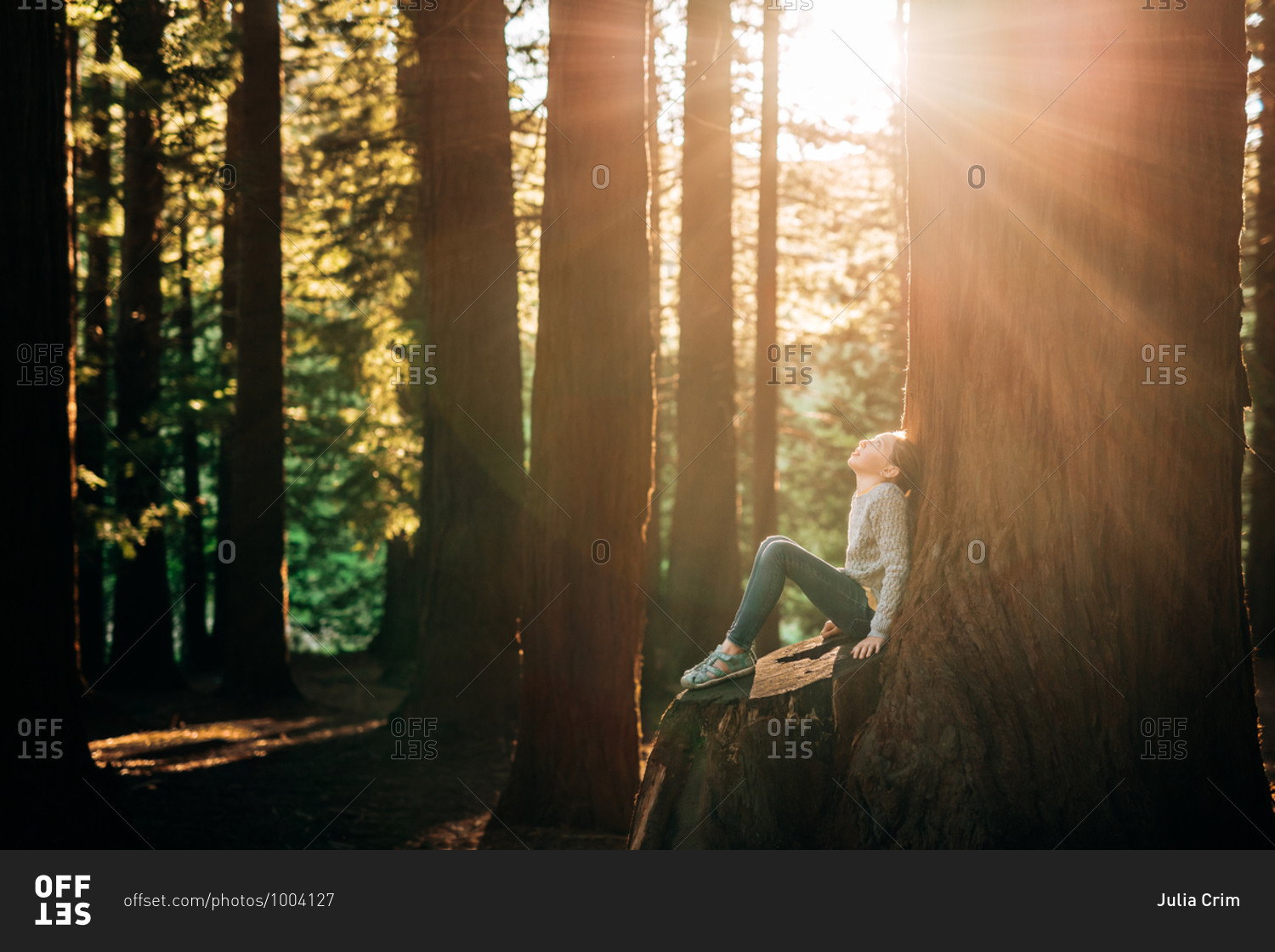 Girl sitting in the woods looking up with sun flare