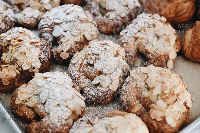Fresh baked almond pastries covered in powdered sugar on a baking tray