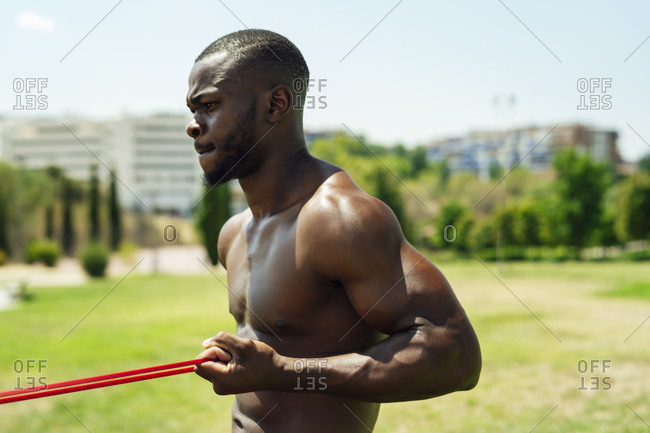 biceps female stock photos - OFFSET