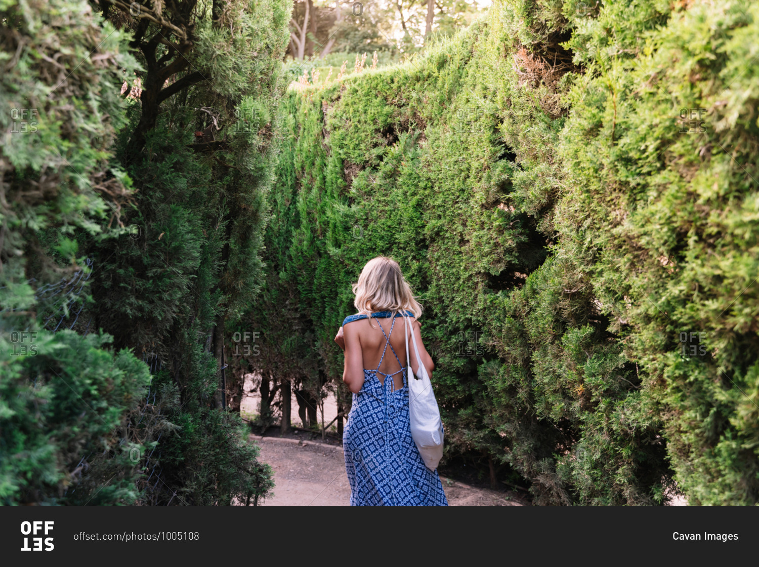 Woman walking through a maze of bushes