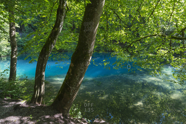 Pond of the river blue, Blautopf, Blaubeuren, Swabian Alb, Baden-Wurttemberg, Germany